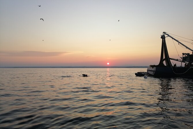 Dolphin Sunrise Adventure with Speedboat - Fishermen at first light: what that stop is really about