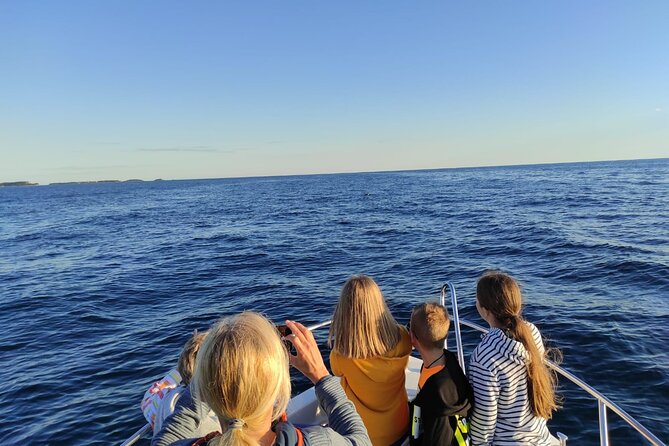 Dolphin Sunset Adventure with Speedboat - Sunset Viewing: The Moment When It Clicks