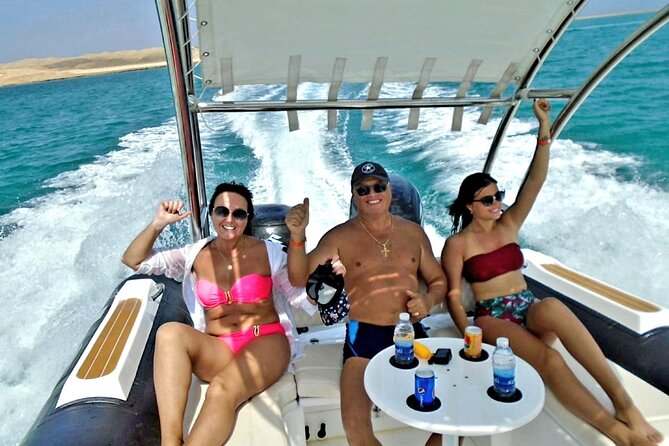 Dolphin trip with private speedboat and snorkeling - Quick Highlights Before You Go