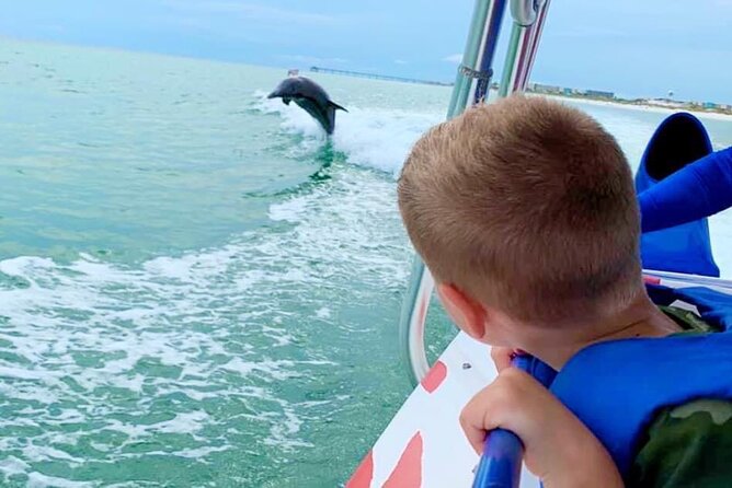 Dolphin-Watching Speedboat Cruise in Destin Harbor - Key Things I’d Prioritize Before You Go