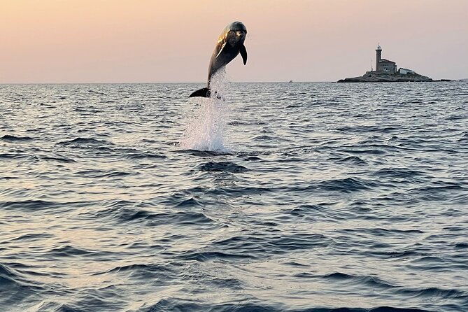 Dolphin Watching Sunset Speedboat Tour with Drinks in Rovinj - Key Things I’d Focus On