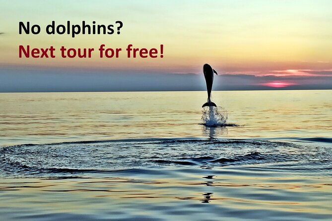 Dolphin Watching Sunset Speedboat Tour with Drinks in Rovinj - A Sunset Tour Built Around Respect, Not Chasing