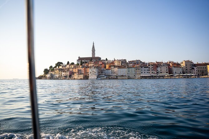 Dolphin Watching Sunset Speedboat Tour with Drinks in Rovinj - Drinks, Age Limits, and Evening Comfort on a Speedboat