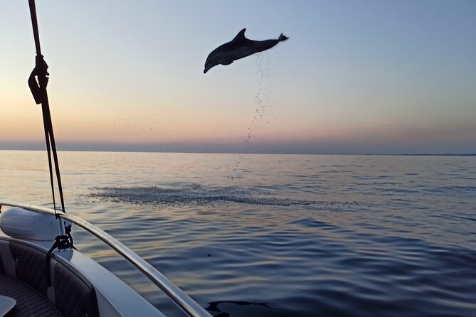 Dolphin Watching Sunset Speedboat Tour with Drinks in Rovinj - Who Should Book This (and Who Might Want a Different Plan)