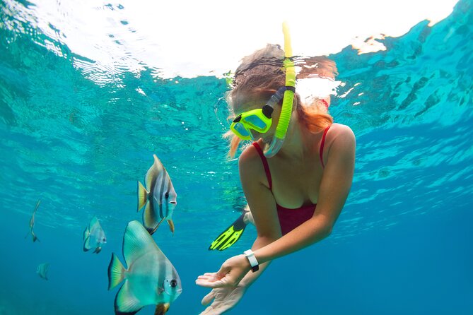 Drive an Speedboat + Mayan Ritual + Food Tasting and More! - How the group size and pace feel in real life