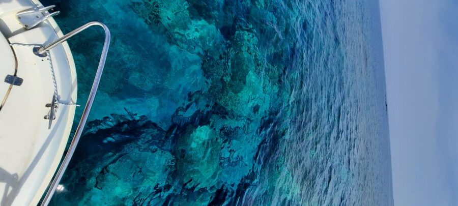 Dubrovnik: Blue Cave Tour by Speedboat - Key Things That Make This Tour Worth Your Time