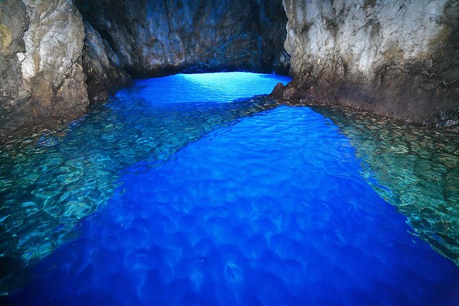 Dubrovnik Private Speed Boat Tour to the Islands - Dolphins and the payoff moments: why this beats a normal sightseeing day