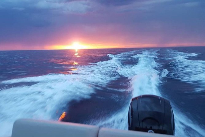 Dubrovnik Speedboat Quicksilver 675 Private Tours - Elafiti Islands (8 hours): best for a slower, longer sea day