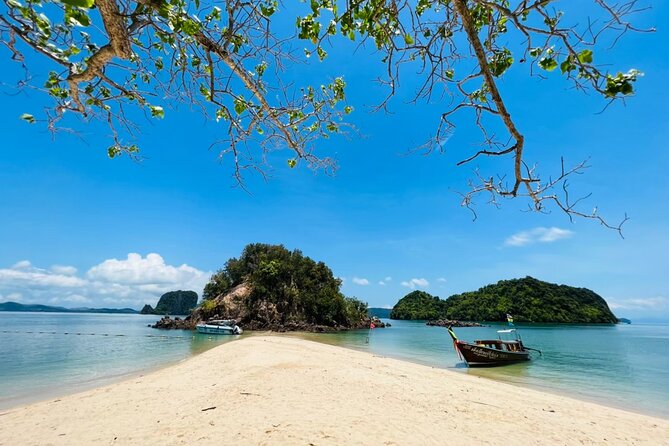 Early Bird Phi Phi 4 Islands by Speedboat 2 Trips in 1 Day - Viking Cave and Monkey Beach: short stops with a natural-history vibe