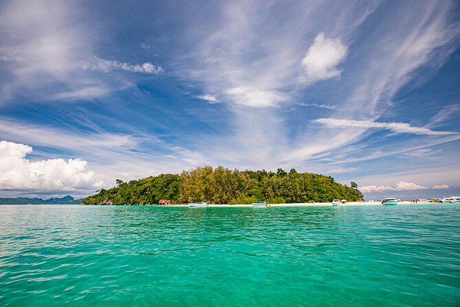 Early Bird Phi Phi Islands Tour From Phi Phi by Speedboat - Monkey Beach, Nui Beach, and Shark Point: quick hits with real wildlife