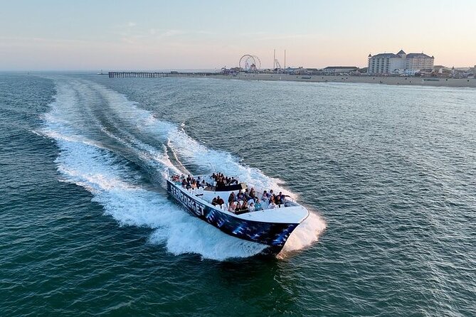 EARLY BIRD SPECIAL: Speed Boat & Dolphin Cruise in Ocean City, MD - What You’re Really Buying for $34.99