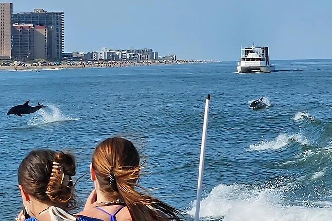 EARLY BIRD SPECIAL: Speed Boat & Dolphin Cruise in Ocean City, MD - Price vs. Value: When This Is a Smart Choice