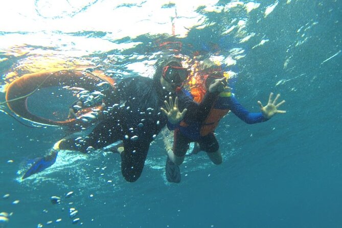 Early Bird Speedboat Group Tour : Explore Komodo Ahead of Crowds - Komodo Island: ranger-guided dragon trekking (and the safety that makes it work)