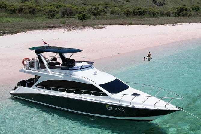 Early Morning Private Komodo Speedboat Tour - Pink Beach and Taka Makassar: sand breaks that reset your body