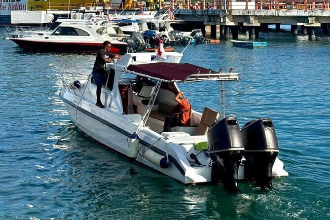 Early Morning Private Komodo Speedboat Tour - Manta Point snorkeling and Siaba Island: animals under the surface