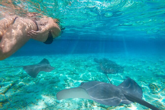 Early Morning Private Komodo Speedboat Tour - Lunch, snacks, insurance, and what the $420 covers