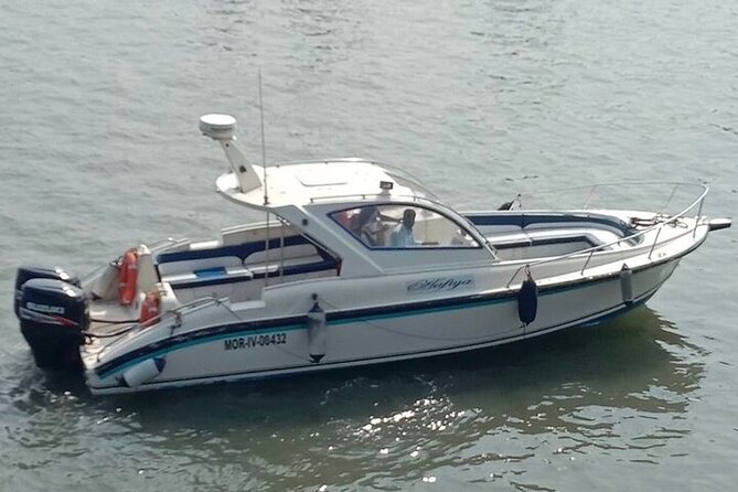 Elephanta Caves Tour by Private Speed Boat - Who This Elephanta Speedboat Tour Fits Best