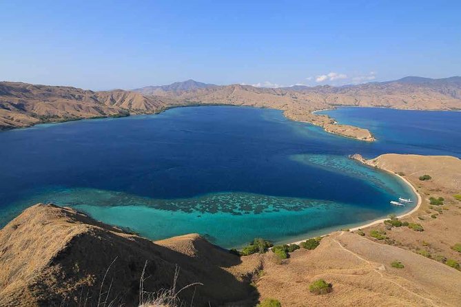 Exclusive Early Bird Komodo Tour: Beat the Crowds by Speed Boat - Why the 5:30am start works better than it sounds