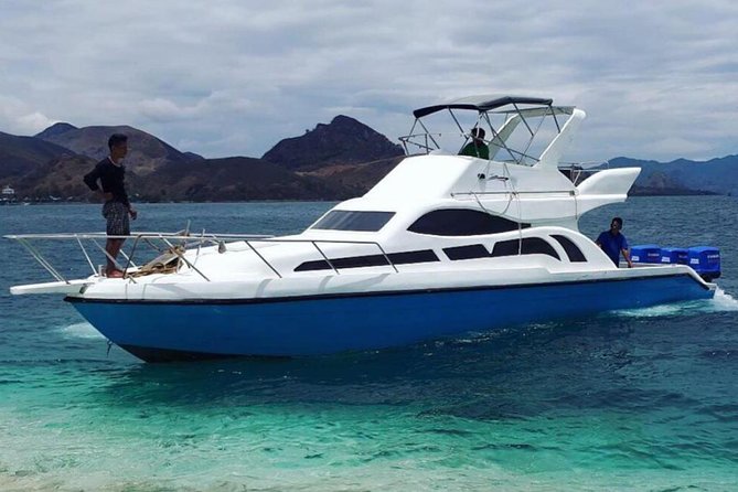 Exclusive Early Bird Komodo Tour: Beat the Crowds by Speed Boat - Siaba Besar (Turtle Point): turtles and more sea life