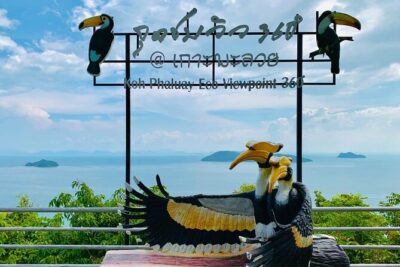 Explore Angthong National Marine Park's Hidden Gems by Speedboat - Pickup in Samui and Pier Check-In: Start Smart, Not Rushed
