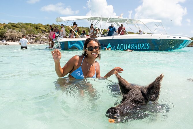Exuma Powerboat Tour from Nassau with Swimming Pigs - Stop 1: Allen’s Cay rock iguanas and a rare chance to watch wildlife doing its thing