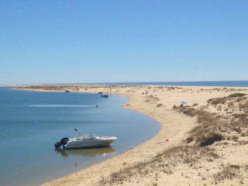Faro: Speed Boat Tour - Faro Speed Boat Tour: the quick way to see Ria Formosa