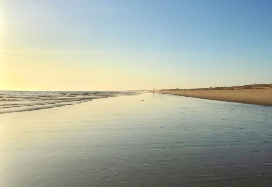 Faro: Speed Boat Tour - The highlight stop: Praia da Ilha Deserta