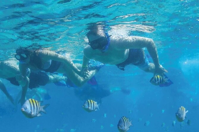 Fast & Fun: Cancun Speedboat Tour with Snorkeling - Boarding, safety, and comfort: plan for how you get back on the boat