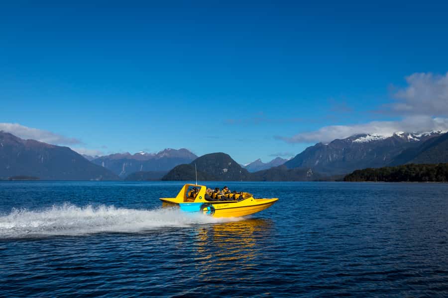 Fiordland: Jet Boat & Nature Walk Experience from Te Anau - What you’ll remember most in 2 hours