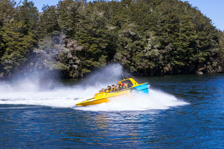 Fiordland: Jet Boat & Nature Walk Experience from Te Anau - From Te Anau check-in to Queen’s Reach boat launch