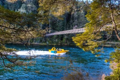 Fiordland: Jet Boat & Nature Walk Experience from Te Anau - 75 minutes on the Waiau River: trout, spins, and Anduin vibes