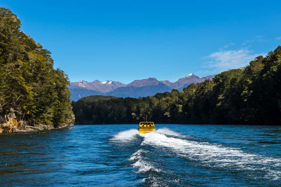 Fiordland: Jet Boat & Nature Walk Experience from Te Anau - The 15-minute guided nature walk through ancient beech