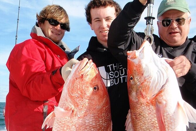 Fishing and Snorkelling by Speedboat Tour - Hurghada - Water sports option and the onboard comfort you’ll notice