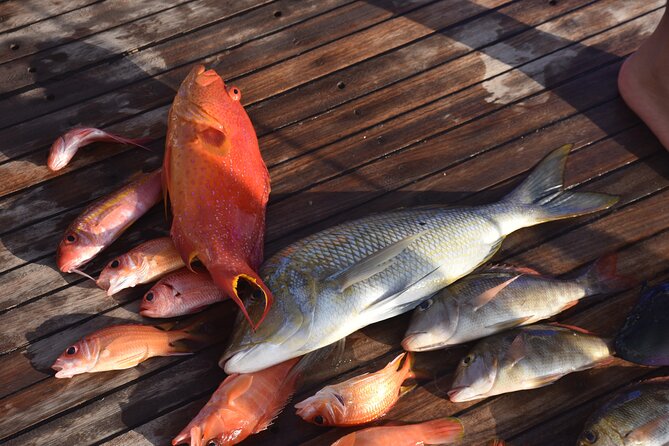 Fishing and Snorkelling by Speedboat Tour - Hurghada - What to pay cash for, and how to plan without stress