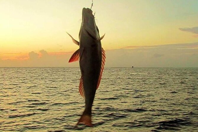 Fishing and Snorkelling by Speedboat Tour - Hurghada - Fishing stops: cast your line at more than one spot