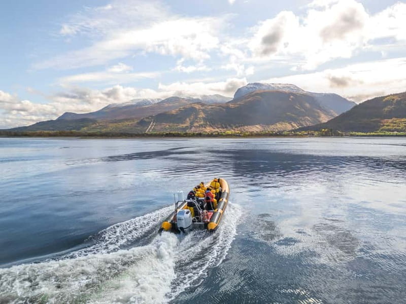 Fort William: 1hr Loch Safari Speedboat Tour - A 1-Hour Speed Safari Leaving Fort William’s West End Pontoons