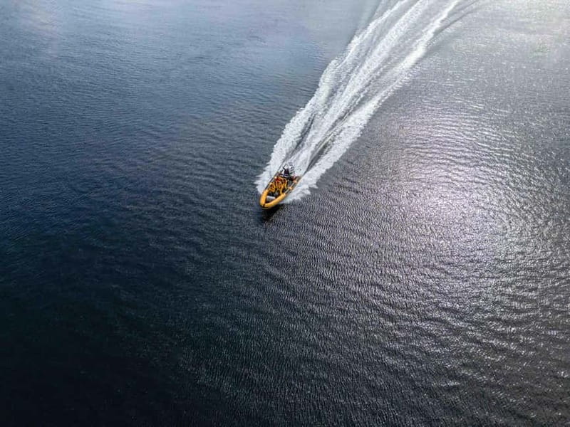 Fort William: 1hr Loch Safari Speedboat Tour - Price and Value: Is $47 Worth It for One Hour?