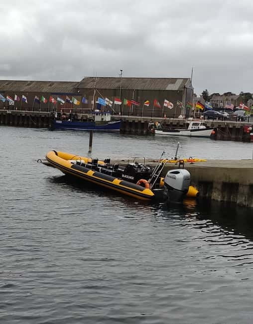 Fort William: 1hr Loch Safari Speedboat Tour - Who This Tour Fits Best (and Who Should Skip It)