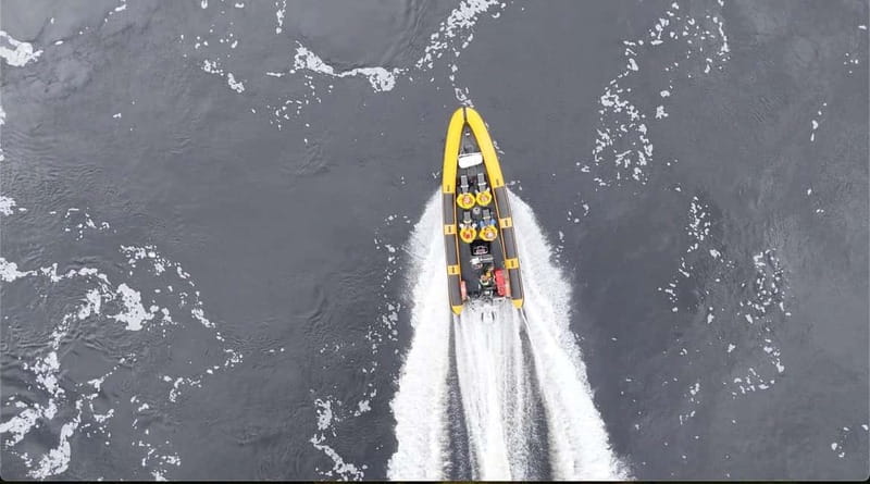 Fort William: 1hr Loch Safari Speedboat Tour - Should You Book the Fort William Loch Safari Speedboat Tour?