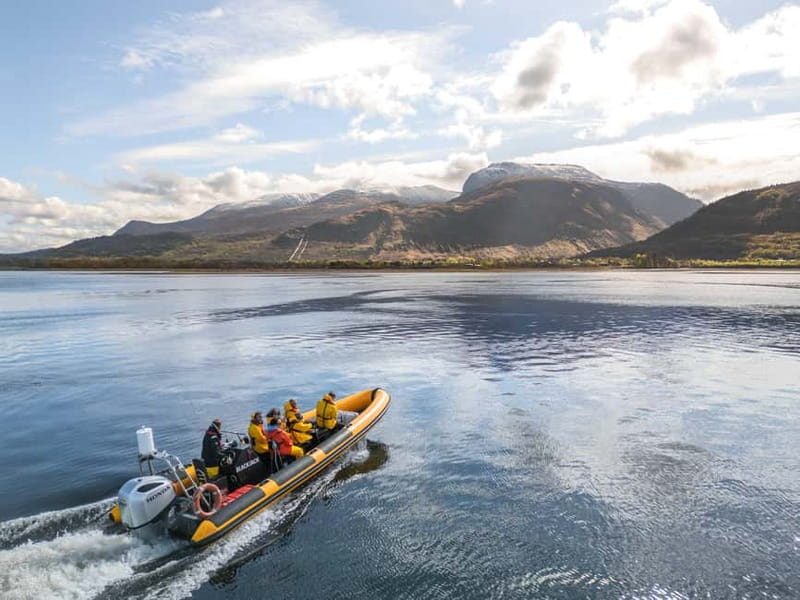 Fort William: 1hr Loch Safari Speedboat Tour - West End to Corpach and Loch Eil: How the Coast Opens Up Fast