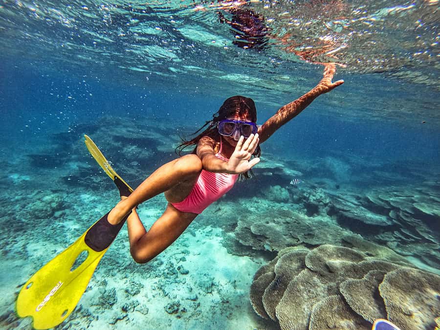 From Blue Bay: Ile aux Cerfs Speedboat Excursion with BBQ - Key highlights worth planning around