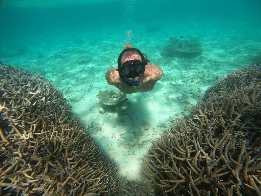 From Blue Bay: Ile aux Cerfs Speedboat Excursion with BBQ - Ile aux Fouquets Lighthouse ruin: island wandering without the long grind