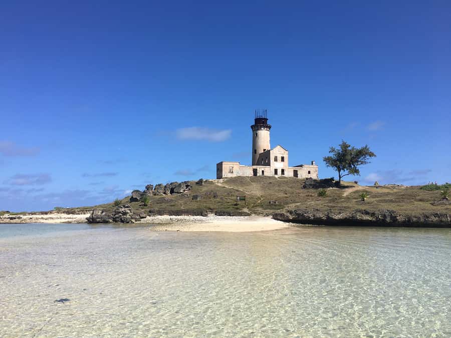 From Blue Bay: Ile aux Cerfs Speedboat Excursion with BBQ - Ile aux Aigrettes return stop: one last swim before heading back