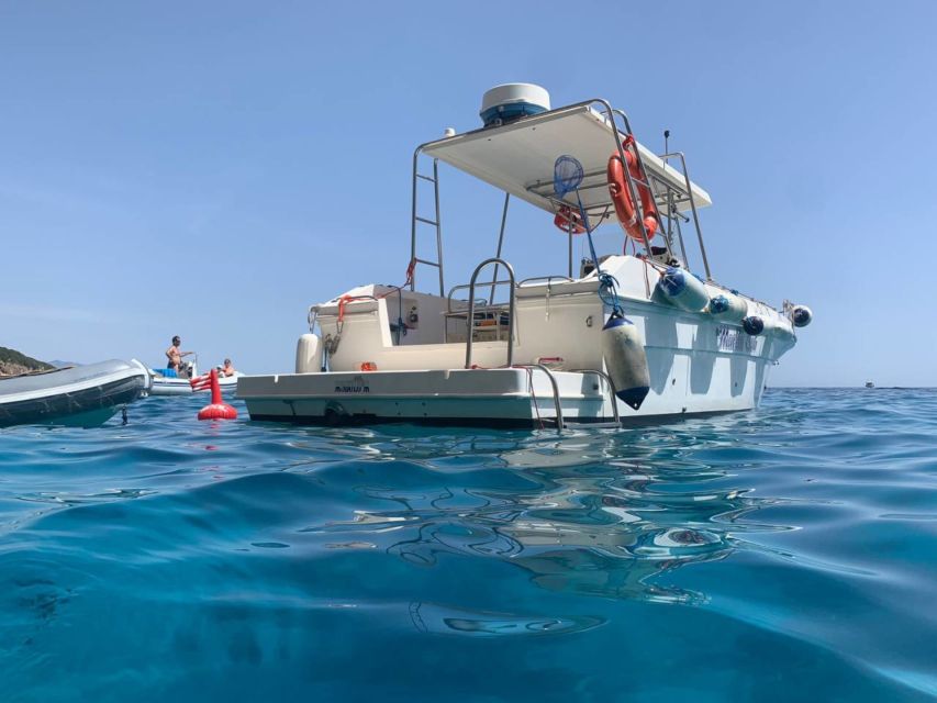 From Cala Gonone: Gulf of Orosei Speedboat Trip and Aperitif - The Gulf of Orosei looks better at speedboat height