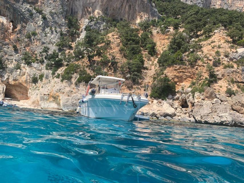 From Cala Gonone: Gulf of Orosei Speedboat Trip and Aperitif - Cala Sisine lunch stop: where the toilet and refreshment help