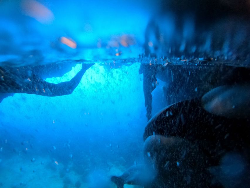 From Dubrovnik/Cavtat: Blue Cave, Sunj Beach Speed Boat Tour - Koločep’s Blue Cave: Swim Through the Glow