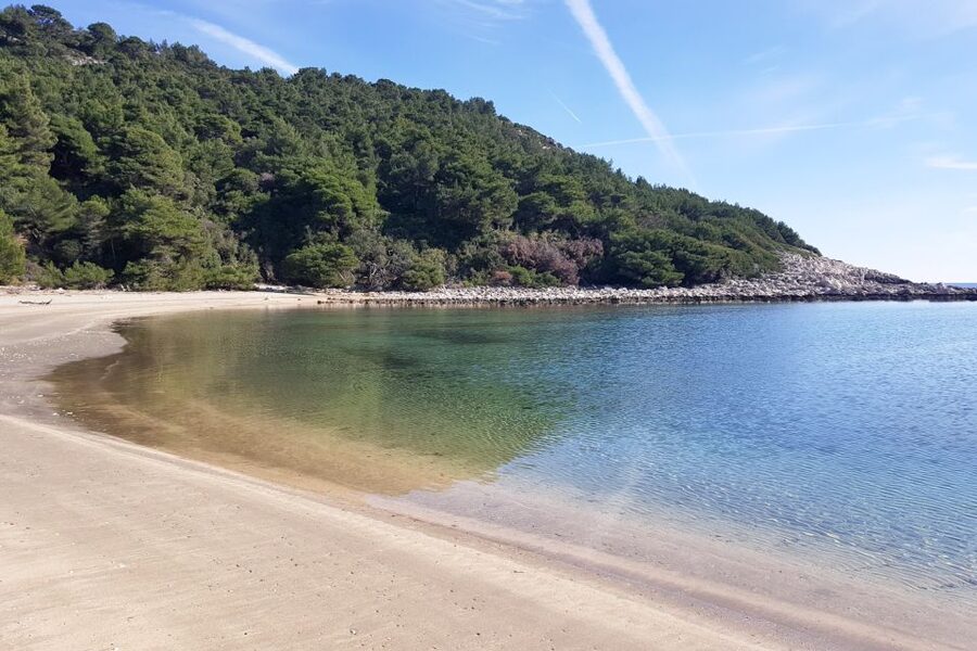 From Dubrovnik: Pvt Speedboat Cruise to Mljet&Sipanska Luka - Should you book the Dubrovnik to Mljet and Sipan speedboat day?