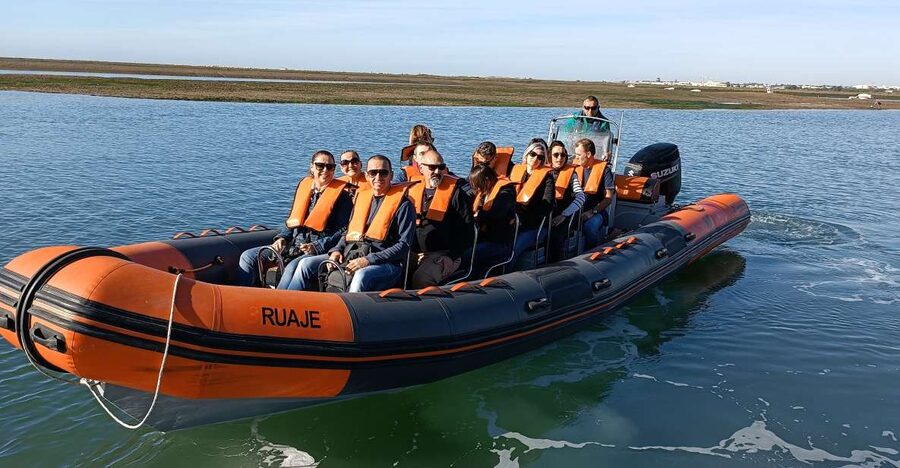 From Faro: Wildlife and Dolphin-Watching Speedboat Tour - Price and value: is $58 worth 2.5 hours on the water?