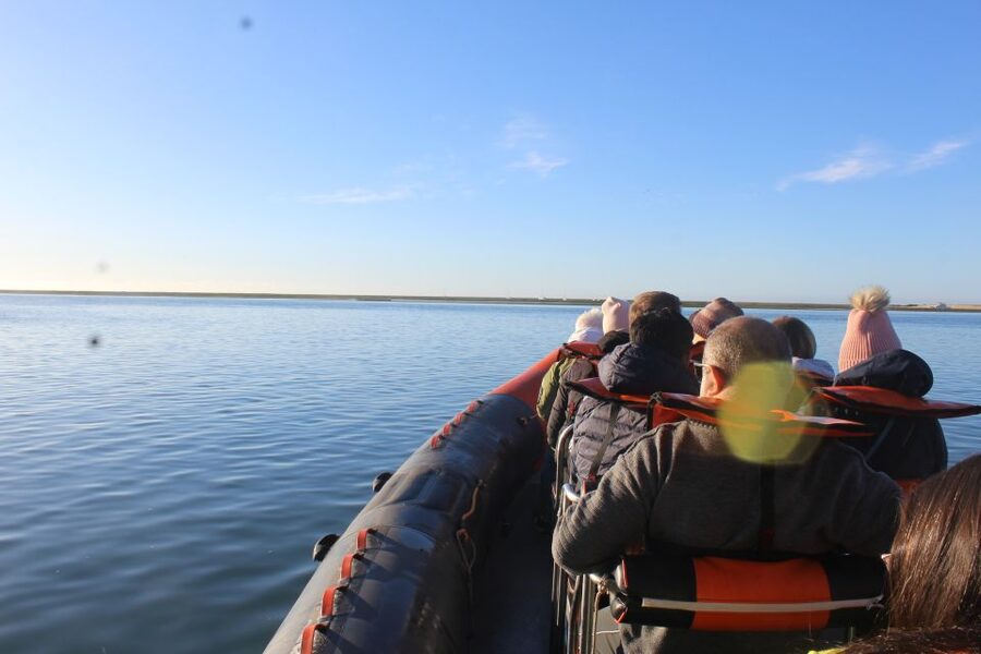 From Faro: Wildlife and Dolphin-Watching Speedboat Tour - Cruise start: the 30 minutes on the speedboat