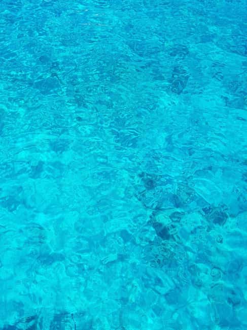 From Hvar: Blue cave group speedboat tour full day - Should you book the Blue Cave group speedboat from Hvar?